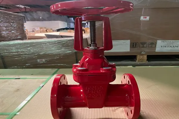 Van cổng DN100